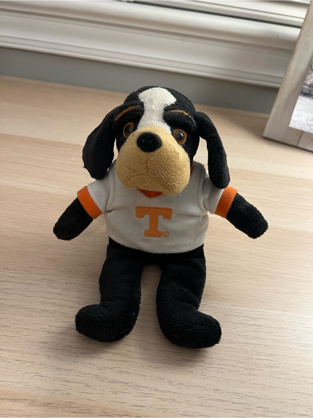 Vintage 2009 Dog Plush Limited Edition